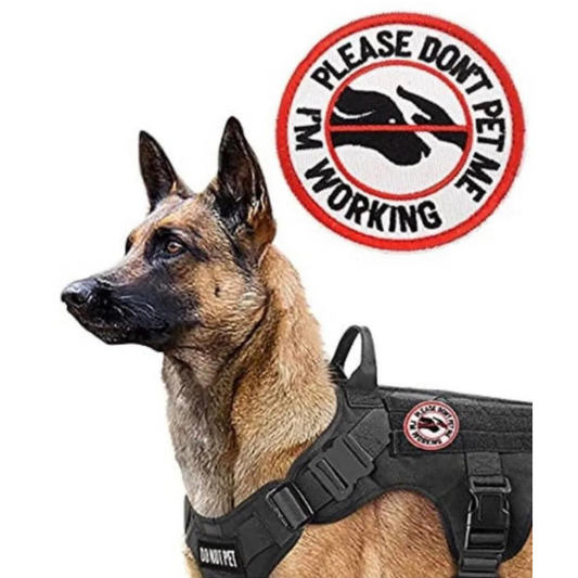 Please Don't Pet Me I'm Working Service Dog Patch (3.5 Inch) Iron-on