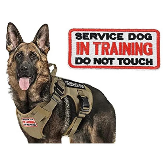 Service Dog in Training Do Not Touch Dog Patch (4 Inch) Velcro Badge