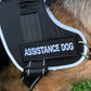 Assistance Dog Patch (6 Inch) Velcro Hook and Loop Badge K9 Harness Patches