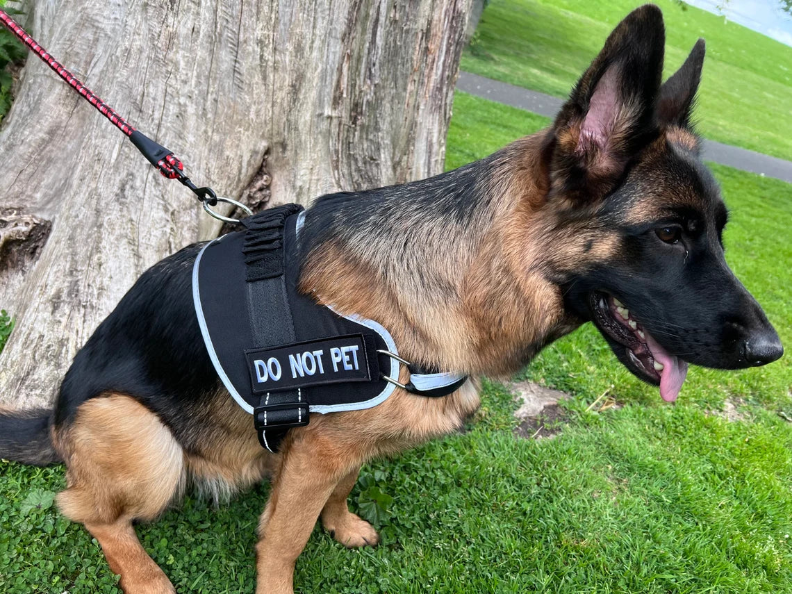 K9 Harness DO NOT PET Dog K-9 Nylon Touch Fastener Patch (6 Inch) Velcro Badge